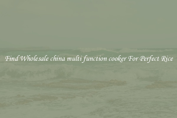 Find Wholesale china multi function cooker For Perfect Rice