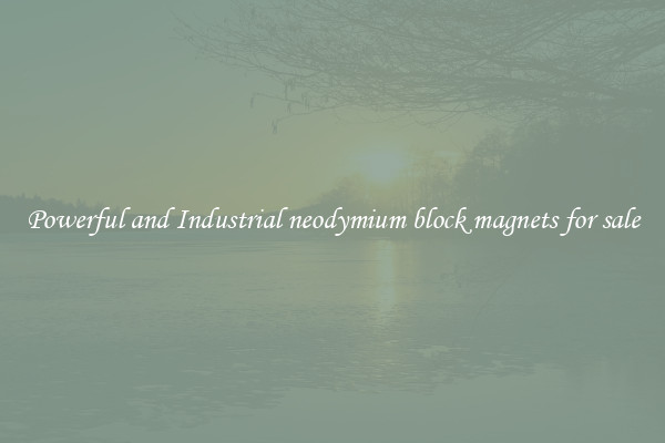 Powerful and Industrial neodymium block magnets for sale