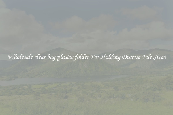 Wholesale clear bag plastic folder For Holding Diverse File Sizes