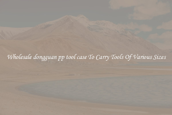 Wholesale dongguan pp tool case To Carry Tools Of Various Sizes