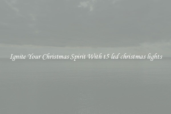 Ignite Your Christmas Spirit With t5 led christmas lights