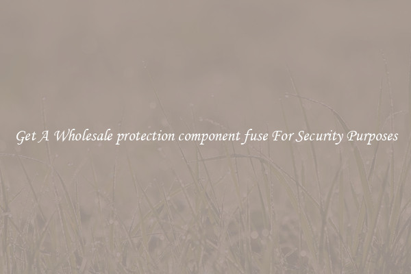 Get A Wholesale protection component fuse For Security Purposes