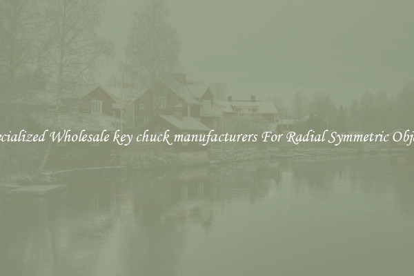 Specialized Wholesale key chuck manufacturers For Radial Symmetric Objects