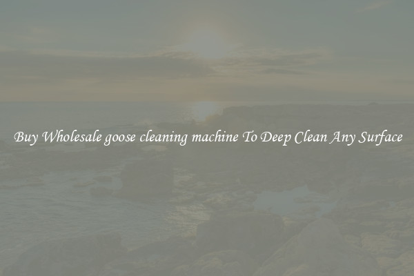 Buy Wholesale goose cleaning machine To Deep Clean Any Surface