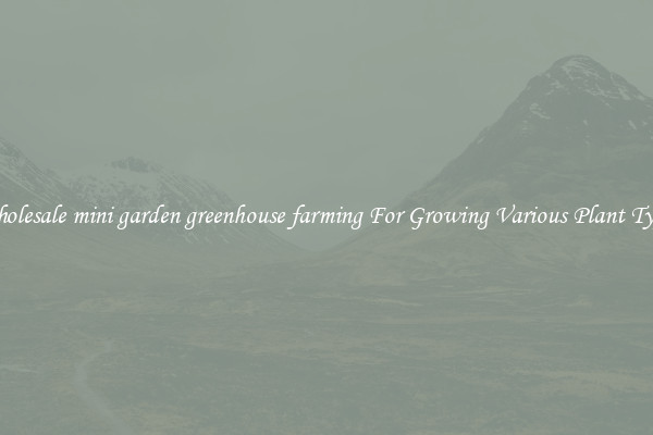 Wholesale mini garden greenhouse farming For Growing Various Plant Types