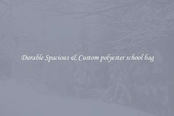 Durable Spacious & Custom polyester school bag