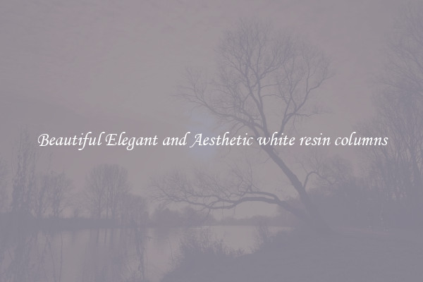 Beautiful Elegant and Aesthetic white resin columns