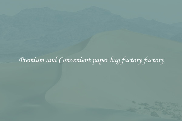 Premium and Convenient paper bag factory factory