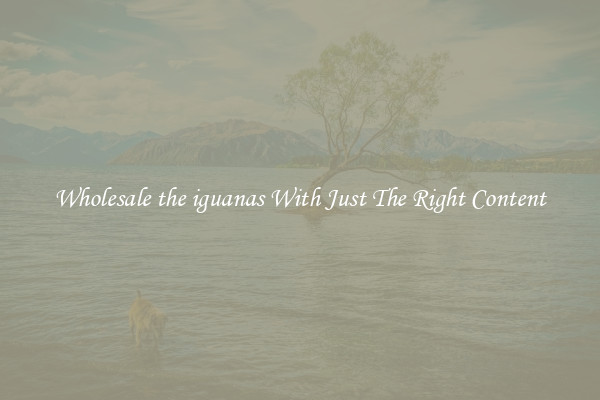 Wholesale the iguanas With Just The Right Content
