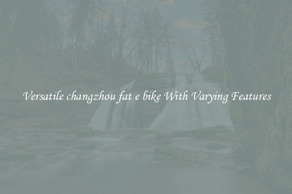 Versatile changzhou fat e bike With Varying Features