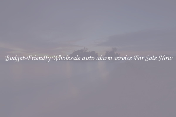 Budget-Friendly Wholesale auto alarm service For Sale Now