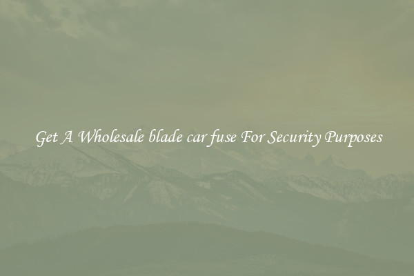 Get A Wholesale blade car fuse For Security Purposes