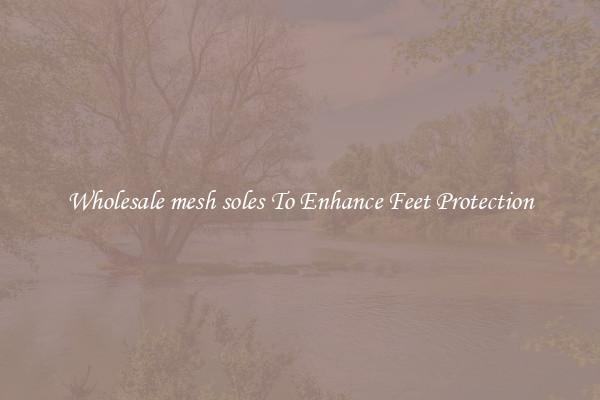 Wholesale mesh soles To Enhance Feet Protection