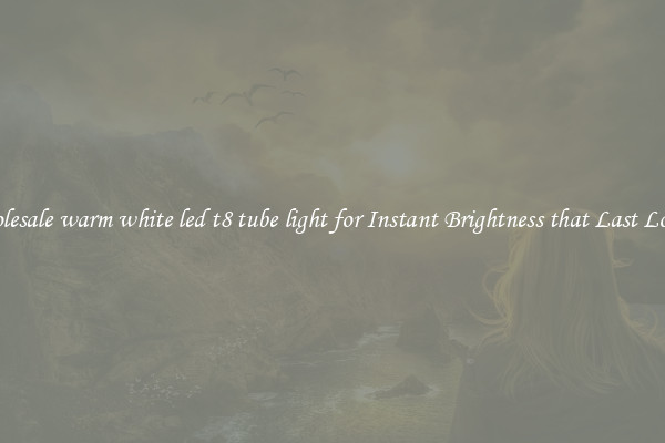 Wholesale warm white led t8 tube light for Instant Brightness that Last Longer