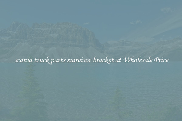 scania truck parts sunvisor bracket at Wholesale Price